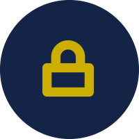 Cyber Security Adherence icon